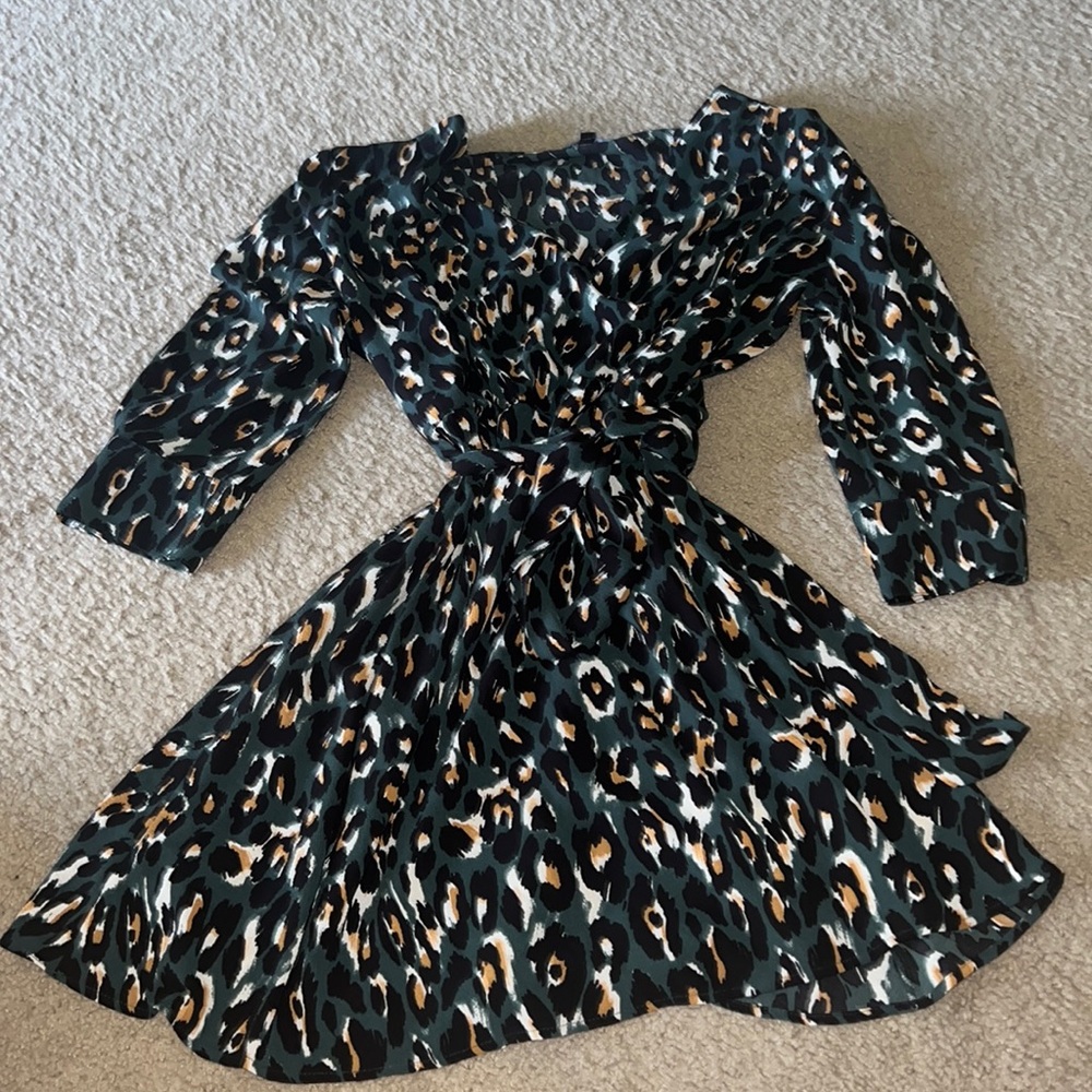 Express dress